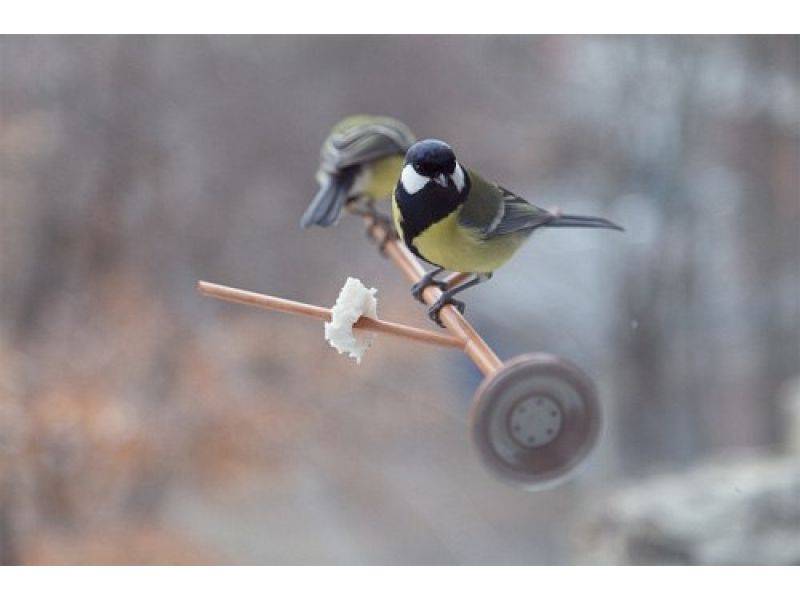 Кормушка для синиц 9 из 10 Кормушка для синиц 9 из 10