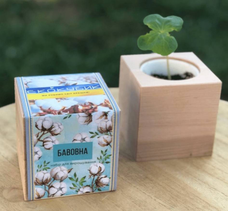 Екокуб для вирощування Бавовна