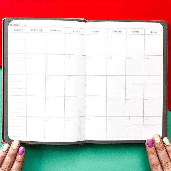 Планер My Perfect Day Professional Пудровый