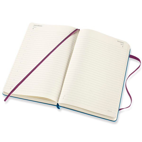 Средний ежедневник Moleskine Alice 2019-2020 Твердый Синий