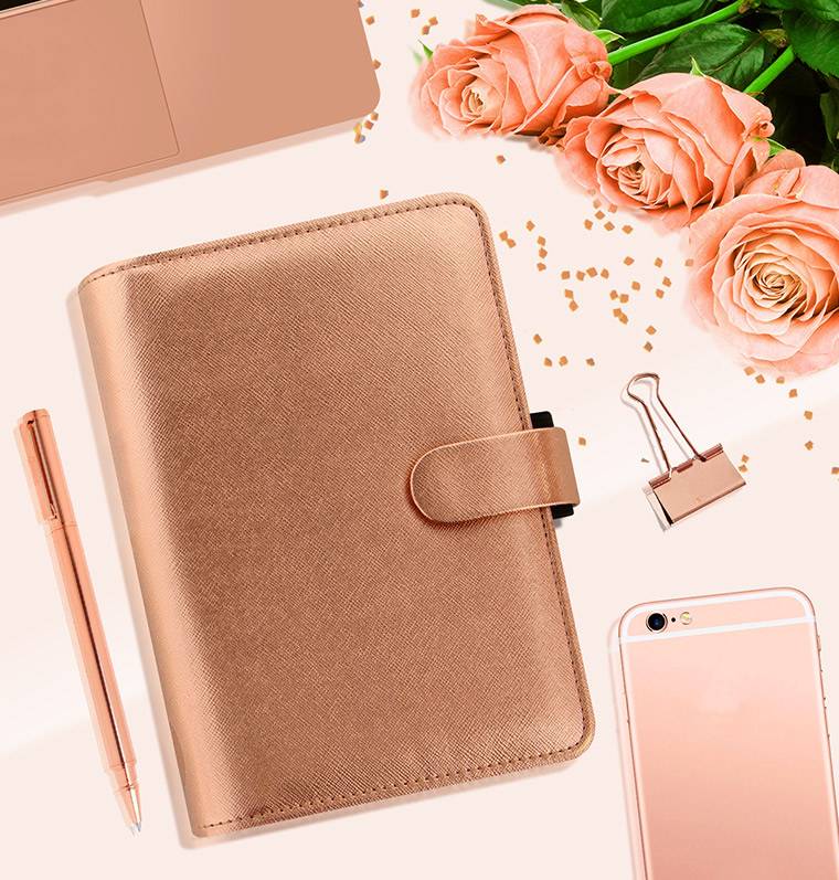 Органайзер Filofax Saffiano Personal Rose Gold (022573)