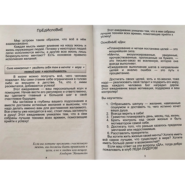 Ежедневник Леди Лидера