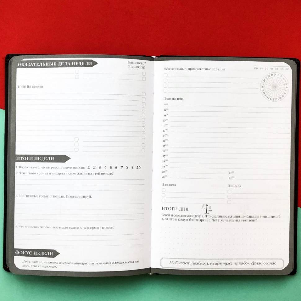 Планер My Perfect Day Professional Черный Blue Title