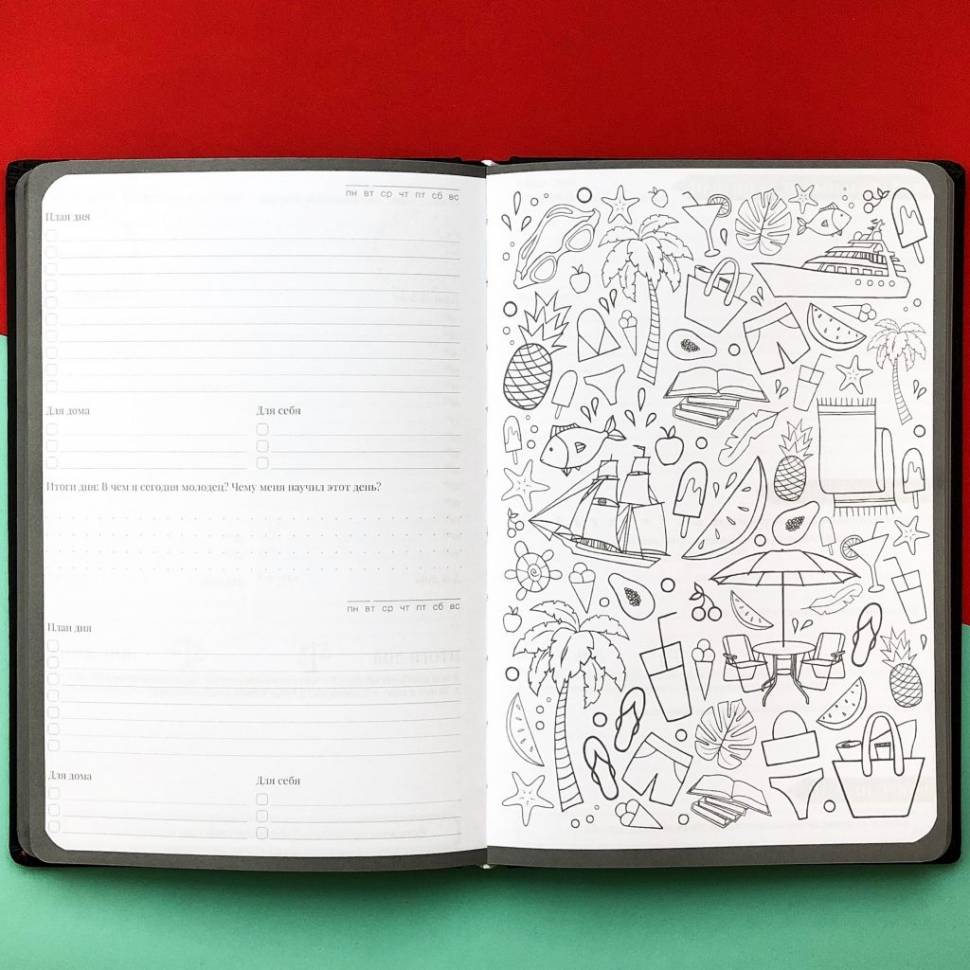 Планер My Perfect Day Professional Черный Blue Title