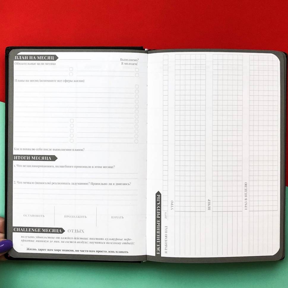 Планер My Perfect Day Professional Черный Blue Title