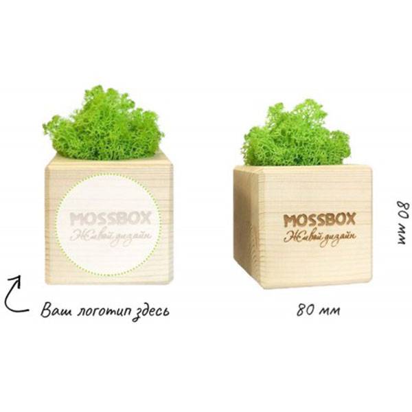 Екокуб для вирощування Фіалки Екокуб для вирощування Фіалки