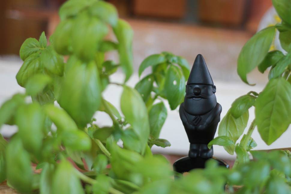 Садові інструменти Monkey Business Herberts