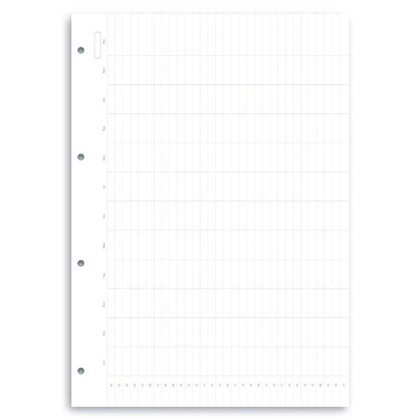 Комплект бланків Filofax Clipbook Огляд року недатовані A4 White (346000)