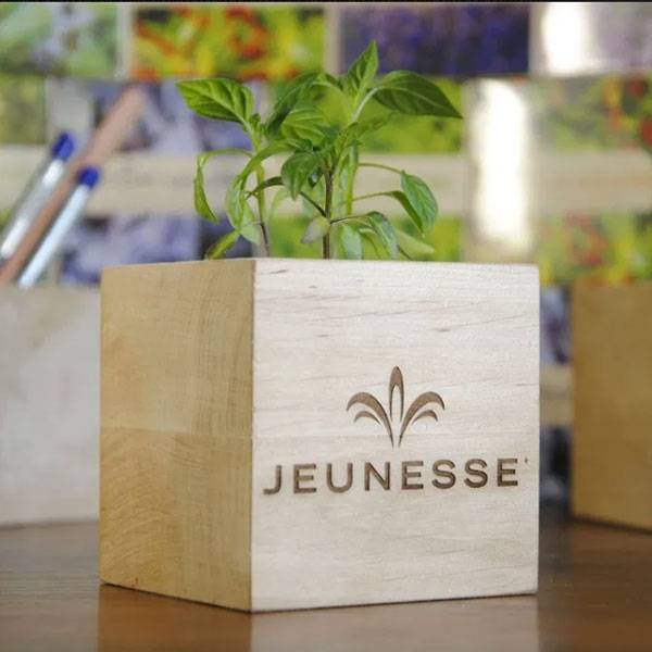 Екокуб для вирощування Базиліка Екокуб для вирощування Базиліка