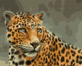 Картина по номерам Леопард 40x50 см
