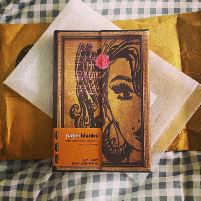 Кишеньковий блокнот Paperblanks Манускрипти Емі Вайнхауз Коричневий