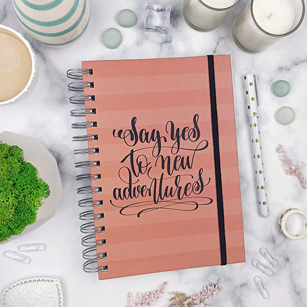 Планер на пружине MriyTaDiy Say Yes Кораловый