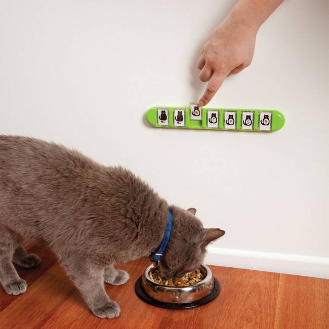 Щоденний напомінатель Dreamfarm Membo зелений