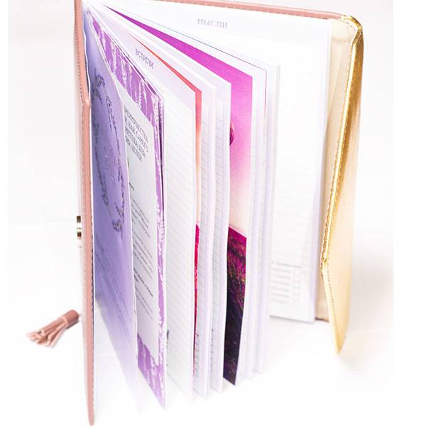 Дневник целей Helper Book Розовый с золотом