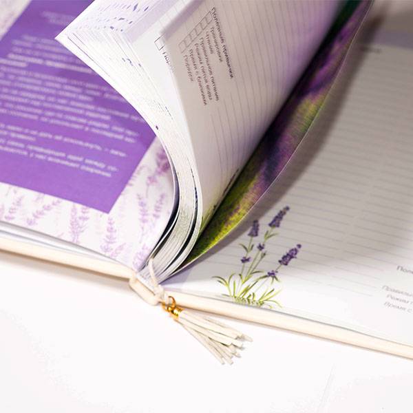 Дневник целей Helper Book Розовый с золотом