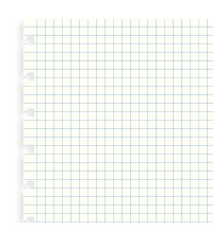 Бланки для блокнота Filofax Classic A4 клетка (162905)