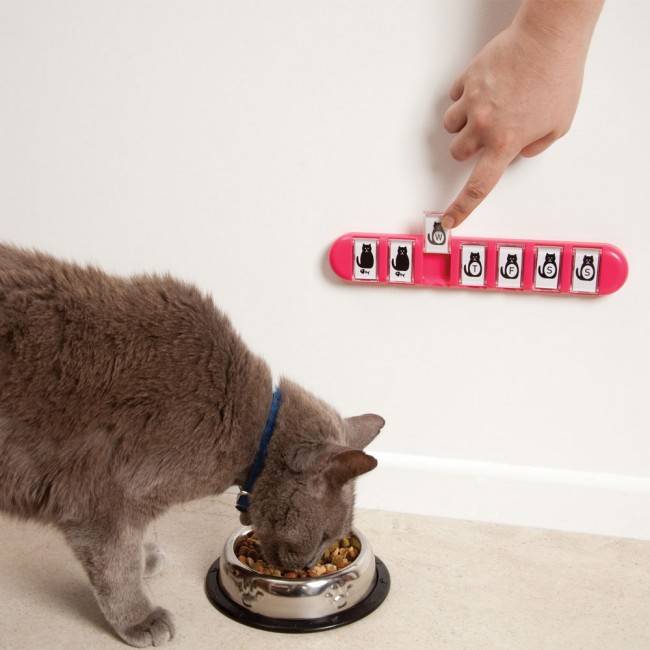 Ежедневный напоминатель Dreamfarm Membo розовый