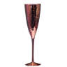 Келих для шампанського Rose Hammerd 250 мл