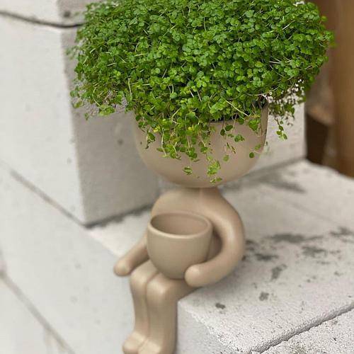 Кашпо Пришелец Бежевый 21 х 10,5 см Кашпо Пришелец Бежевый 21 х 10,5 см