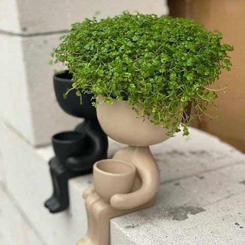 Кашпо Пришелец Бежевый 21 х 10,5 см Кашпо Пришелец Бежевый 21 х 10,5 см