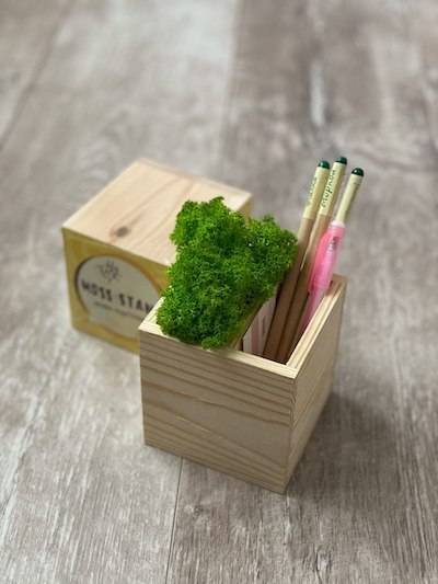 Подставка с мхом Live Cube