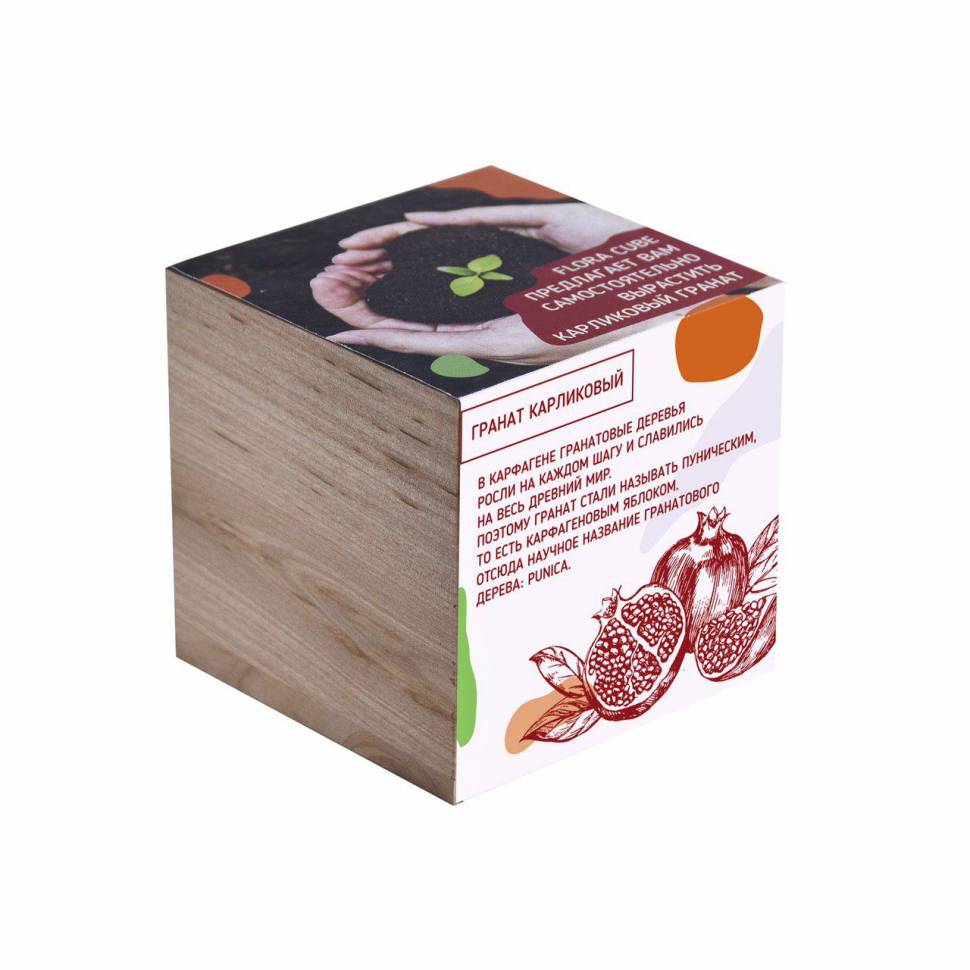 Набор для выращивания Flora Cube Гранат