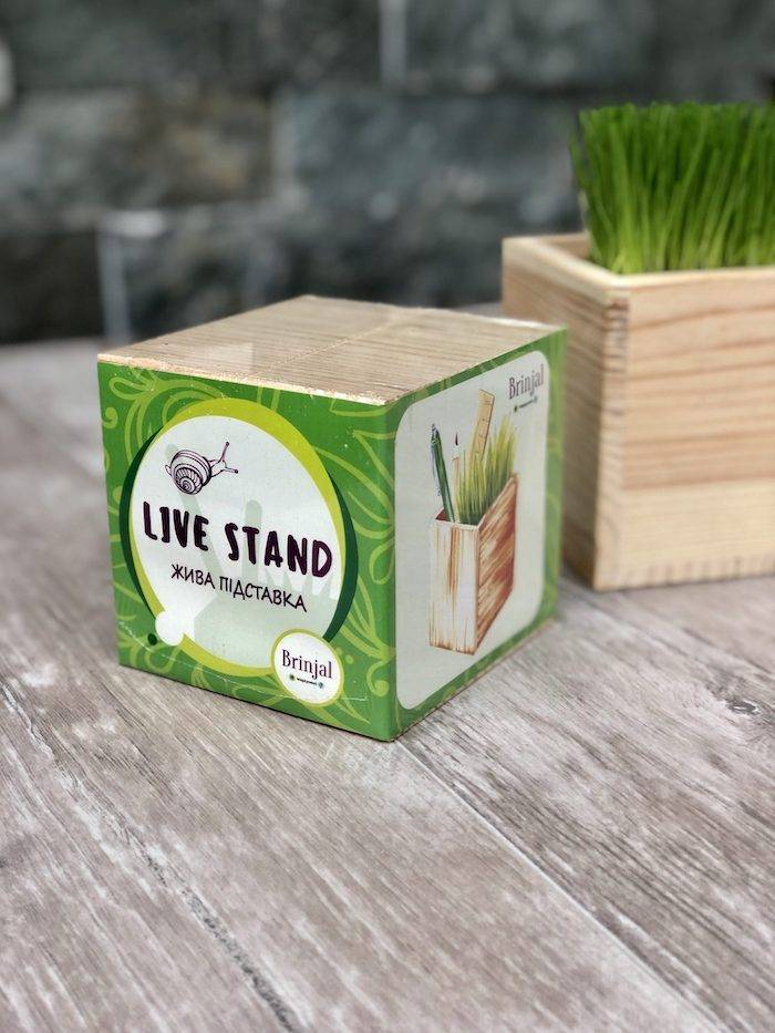 Зростаюча підставка Live Cube