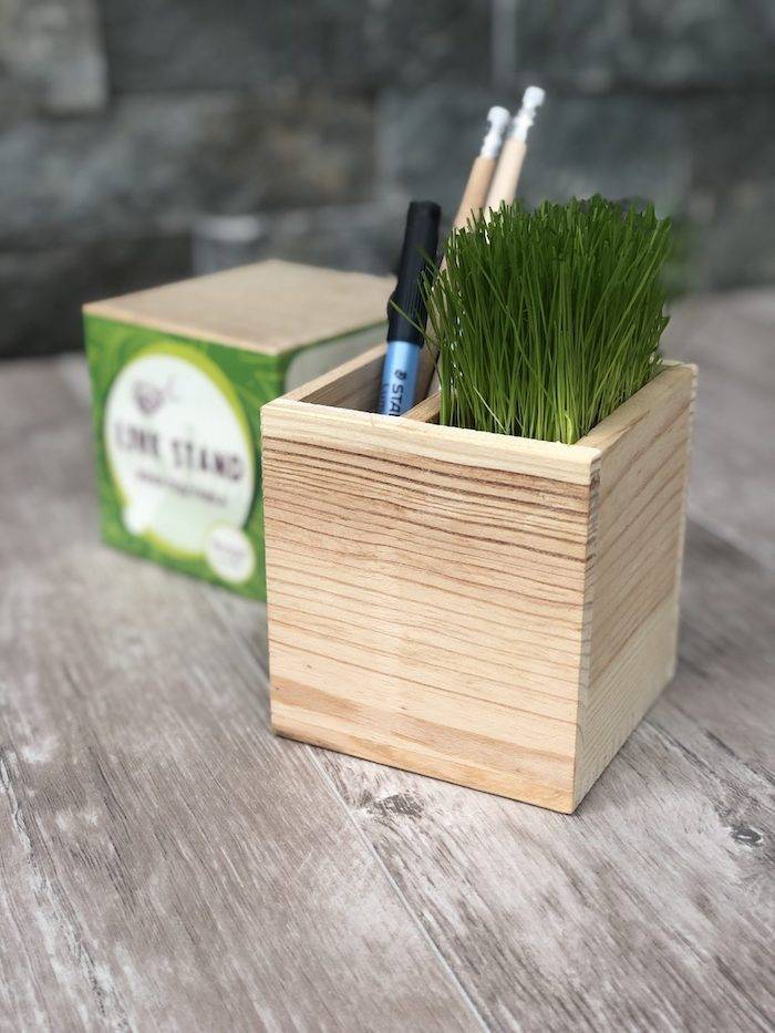 Зростаюча підставка Live Cube