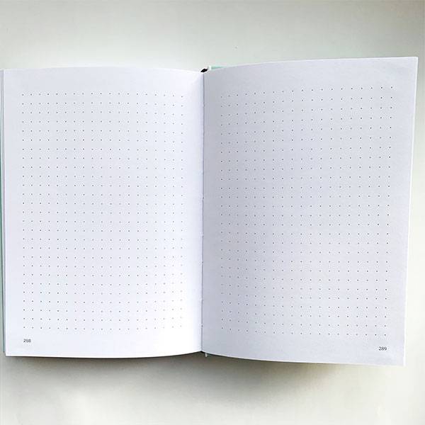 Планер Artifact Go Go Go Розовый