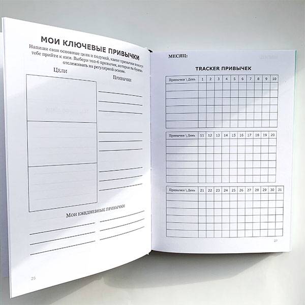 Планер Artifact Go Go Go Розовый