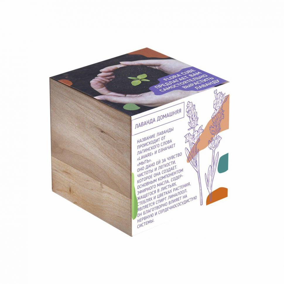Набор для выращивания Flora Cube Лаванда