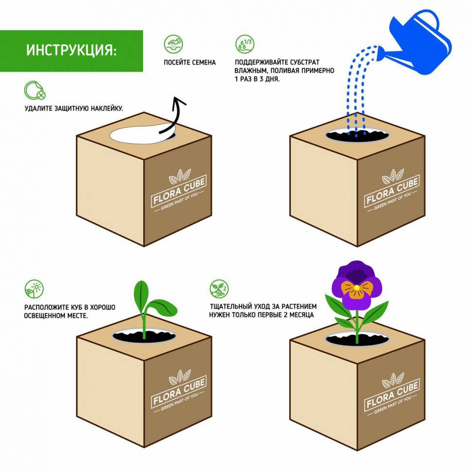 Набор для выращивания Flora Cube Лаванда