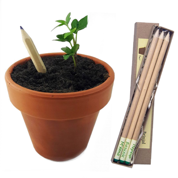 Набор растущих карандашей Live Cube 3 шт