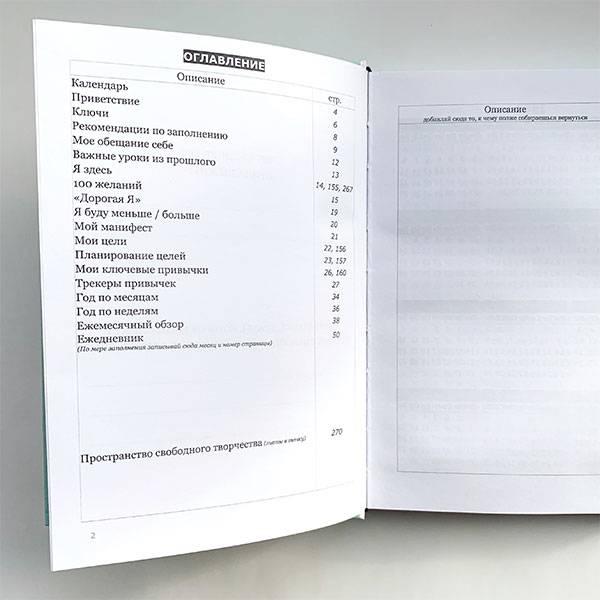 Планер Artifact Create Your Own Розовый