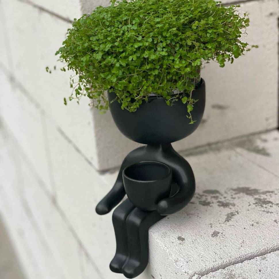 Кашпо Пришелец Черный 21 х 10,5 см Кашпо Пришелец Черный 21 х 10,5 см