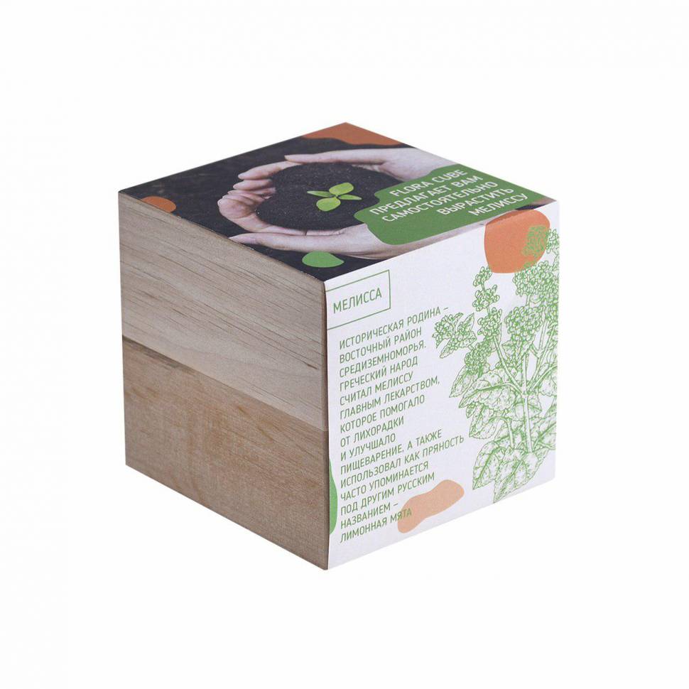 Набор для выращивания Flora Cube Мелисса