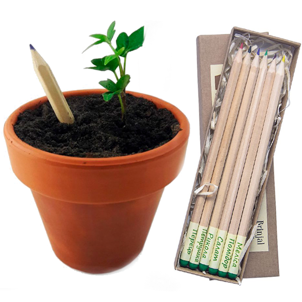 Набор растущих карандашей Live Cube 6 шт