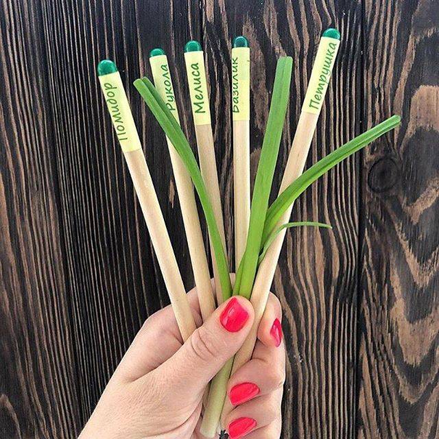 Набор растущих карандашей Live Cube 6 шт