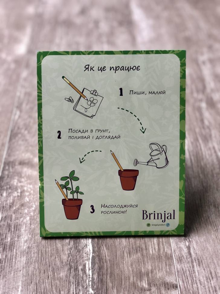 Набор растущих карандашей Live Cube 6 шт