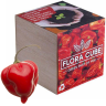 Набір для вирощування Flora Cube хабанеро