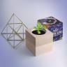 Набір для вирощування Flora Cube Фіалка