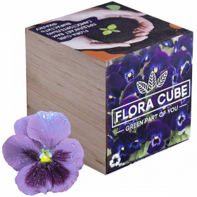 Набір для вирощування Flora Cube Фіалка