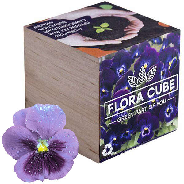 Набор для выращивания Flora Cube Фиалка