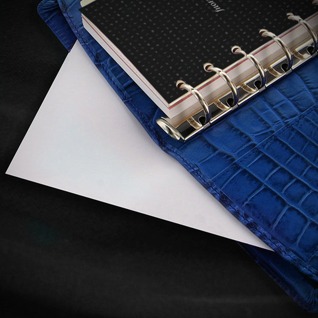 Органайзер Filofax Classic Croc Personal Indigo (026008)