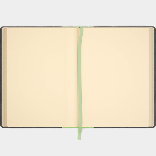 Блокнот Like U Pro A5 Чорний /Зелений