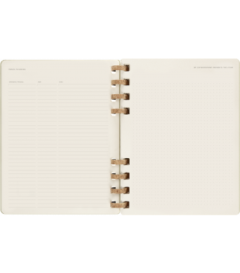 Великий Щотижневик Moleskine 2024 Spiral Ківі