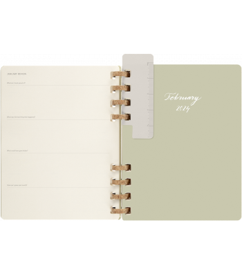 Великий Щотижневик Moleskine 2024 Spiral Ківі