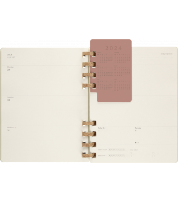 Великий Щотижневик Moleskine 2024 Spiral Ківі