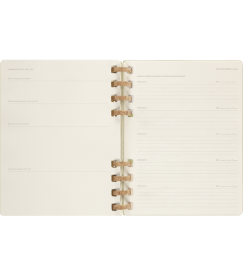 Великий Щотижневик Moleskine 2024 Spiral Ківі