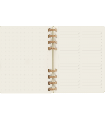 Великий Щотижневик Moleskine 2024 Spiral Ківі